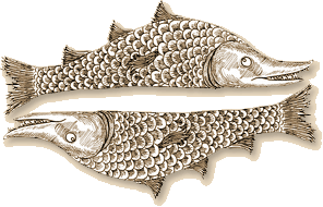 Sternzeichen fische