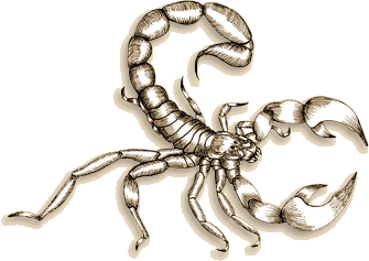 Sternzeichen skorpion