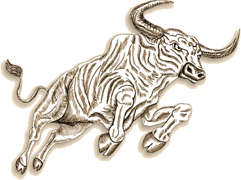 Sternzeichen stier